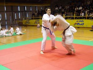 Fede enrico